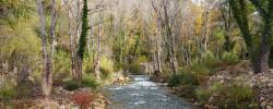 Río Mijares, en la demarcación hidrográfica del Júcar.