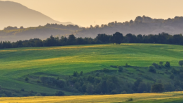 Rural landscape with green hills, scattered trees, and mountains in the background under soft evening light.