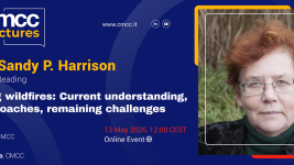 Modelling wildfires: current understanding, new approaches, remaining challenges