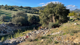 Diputación de Cádiz impulsa cinco talleres para diseñar la adaptación de los ríos urbanos al cambio climático