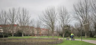campo en Gijon