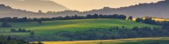 Rural landscape with green hills, scattered trees, and mountains in the background under soft evening light.