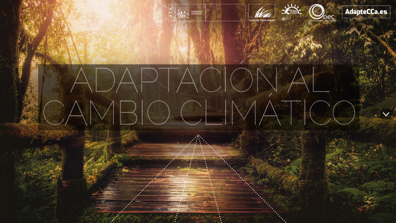 adaptación cambio climatico